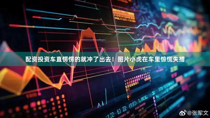 配资投资车直愣愣的就冲了出去！图片小虎在车里惊慌失措