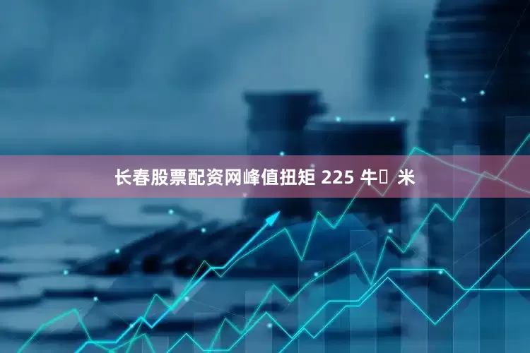长春股票配资网峰值扭矩 225 牛・米