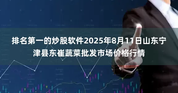 排名第一的炒股软件2025年8月11日山东宁津县东崔蔬菜批发市场价格行情