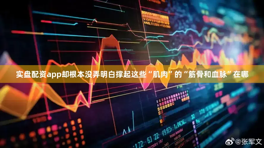 实盘配资app却根本没弄明白撑起这些“肌肉”的“筋骨和血脉”在哪