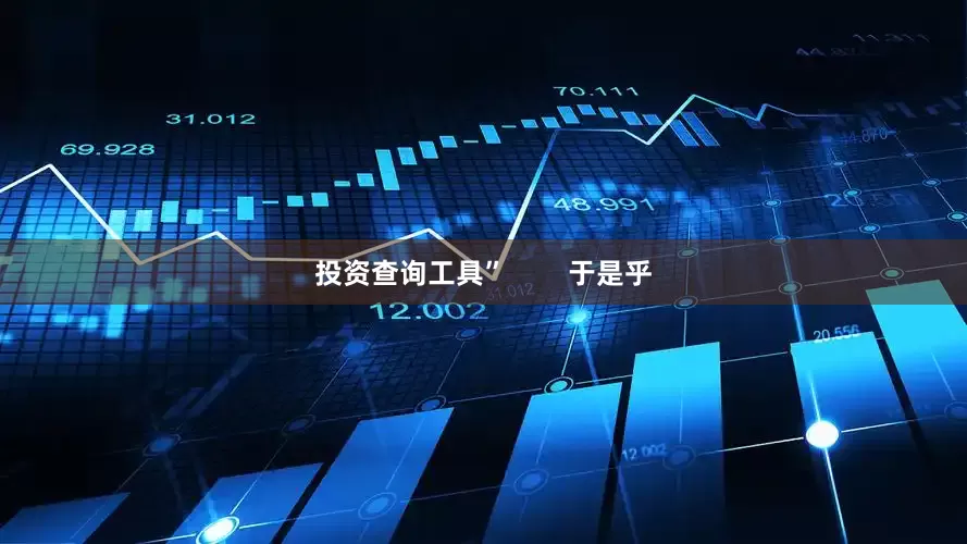 投资查询工具”        于是乎