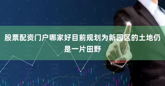 股票配资门户哪家好目前规划为新园区的土地仍是一片田野